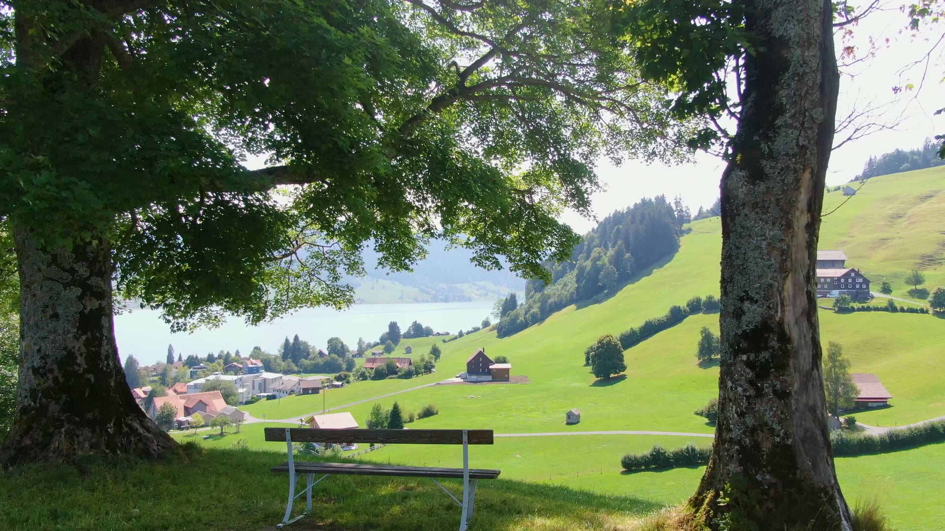 Sitzbank unter zwei Bäumen mit Blick auf den Sihlsee